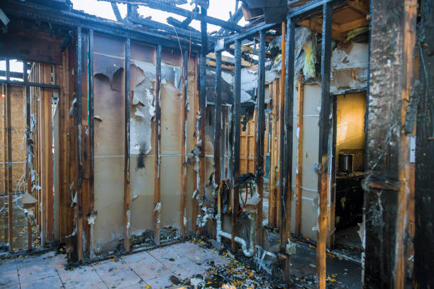 Professional Odor Removal technician working in Odon, IN